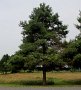 IMG_0043